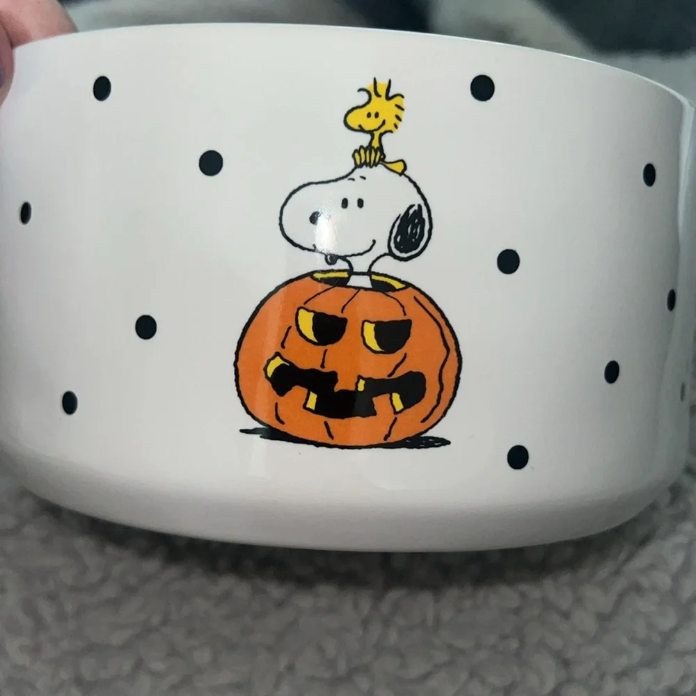 New Rae Dunn Halloween peanuts snoopy dog food bowl